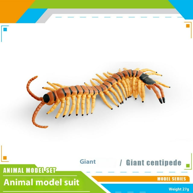 IBaodan Kids toy Massive markdowns A Children's Simulated Model Of A