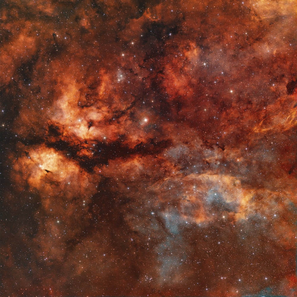 IC 1318 and the Butterfly Nebula around star Gamma-Cygni Canvas Art - Rolf GeissingerStocktrek Images (28 x 28)