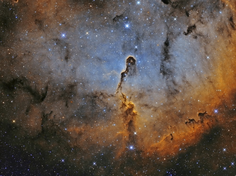 IC 1396 the Elephant Trunk Nebula Canvas Art - Roberto ColombariStocktrek Images (32 x 24)