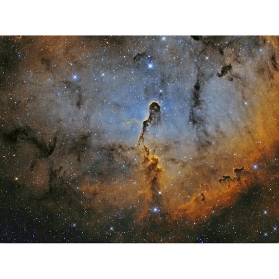IC 1396 the Elephant Trunk Nebula Poster Print