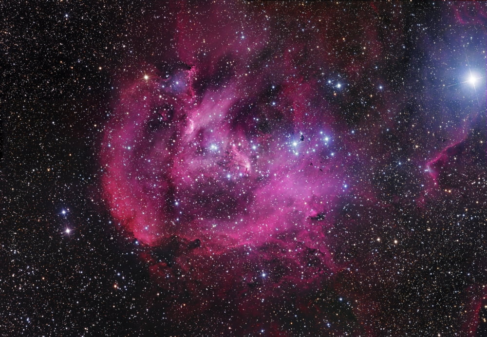 IC 2944 The Running Chicken Nebula Canvas Art - Robert GendlerStocktrek Images (33 x 23)