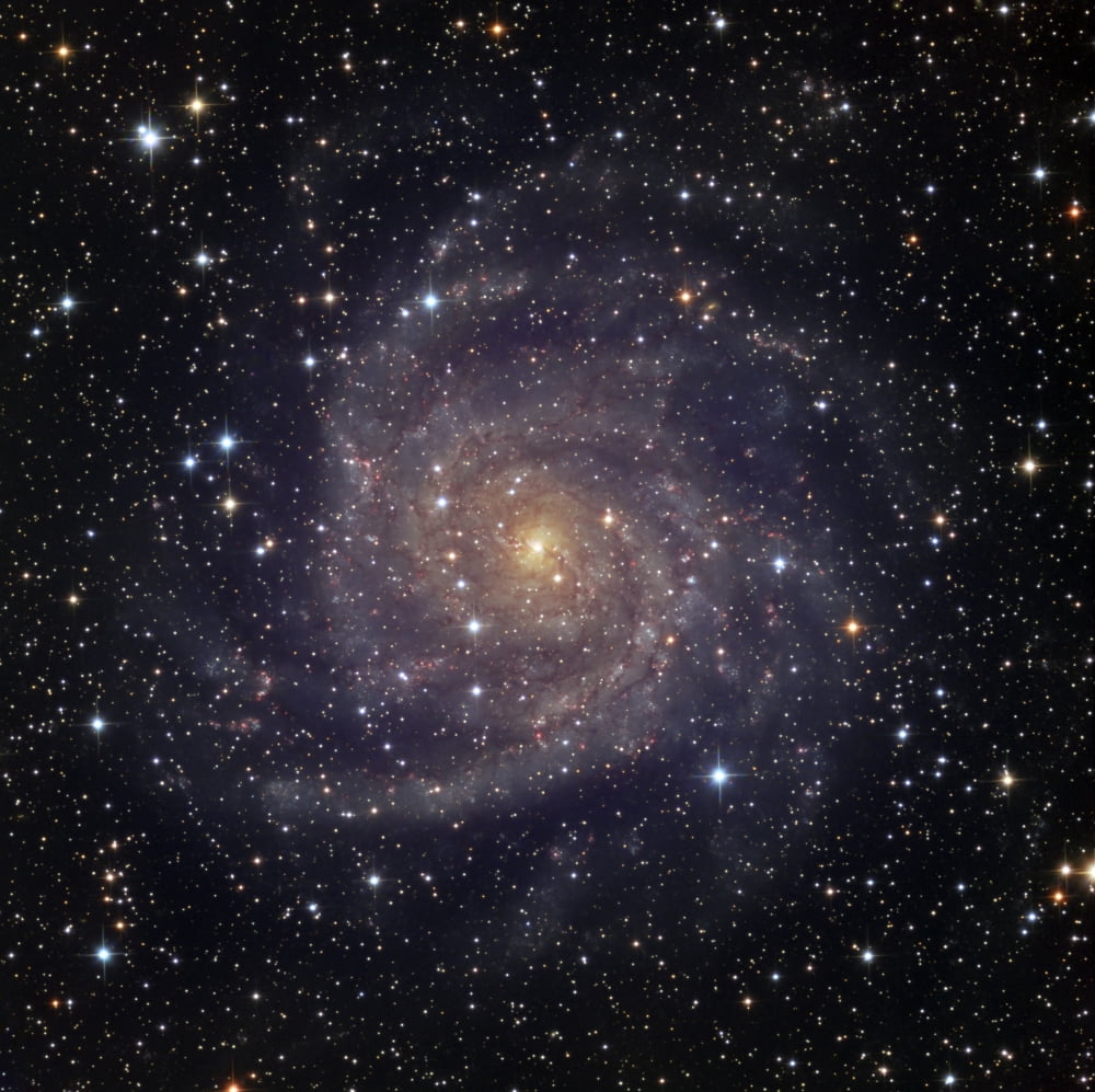 IC 342 an intermediate spiral galaxy in the constellation Camelopardalis Canvas Art - Ken CrawfordStocktrek Images (28 x 28)