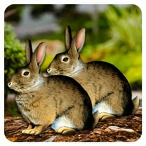 ICERUN 2Pcs Garden Statues,Acrylic Rabbit Sculpture Lawn Ornaments,Realistic Expression Garden Sculptures,Style1