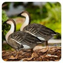 ICERUN 2Pcs Garden Statues,Acrylic Wild Goose Sculpture Garden Art,Bright Colors Poultry Yard Decorations Outdoor,Style1