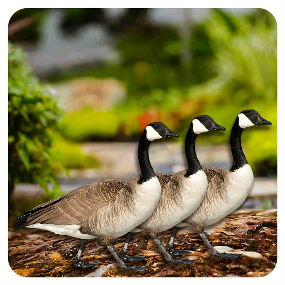 ICERUN 3Pcs Garden Statues,Acrylic Canada Goose Sculpture Yard Art,Realistic Expression Outdoor Garden Decor,Style3