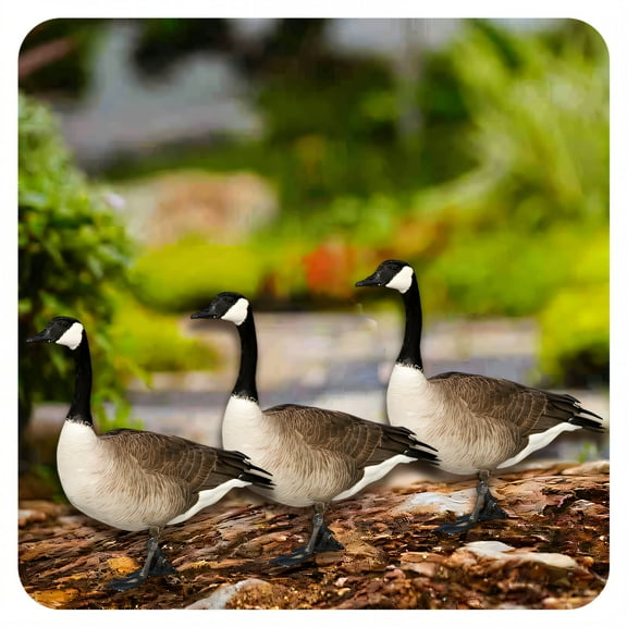 ICERUN 3Pcs Garden Statues,Acrylic Canada Goose Sculpture Yard Decor,Detailed Carving Hen Outdoor Decorations for Yard,Style2