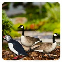 ICERUN 3Pcs Garden Statues,Acrylic Puffin and Canada Goose Sculpture Lawn Ornaments,Natural Vitality Statues Garden Sculptures,Style1