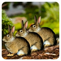ICERUN 3Pcs Garden Statues,Acrylic Rabbit Sculpture Garden Art,Fine Texture Animal Statues Yard Decorations Outdoor,Style1
