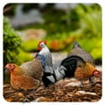 thumbnail image 1 of ICERUN 3Pcs Garden Statues,Acrylic Rooster and Hen Sculpture Garden Decorations,Poultry Shape Outdoor Statues,Style2, 1 of 7