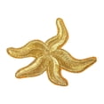 thumbnail image 1 of ID 0341B Starfish Sea Creature Patch Sandy Beach Embroidered Iron On Applique, 1 of 1