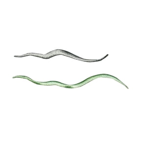 ID 0387AB Set of 2 Ocean Wave Patch Beach Craft DIY Embroidered Iron On Applique