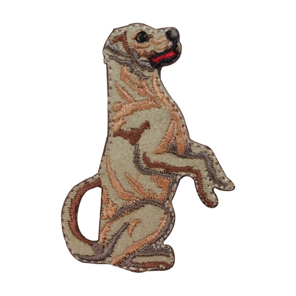 ID 2802 Retriever Begging Patch Dog Sitting Treat Embroidered Iron On Applique