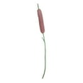 thumbnail image 1 of ID 6291 Cat Tail Plant Patch Lake Pond Typha Bulrush Embroidered IronOn Applique, 1 of 1