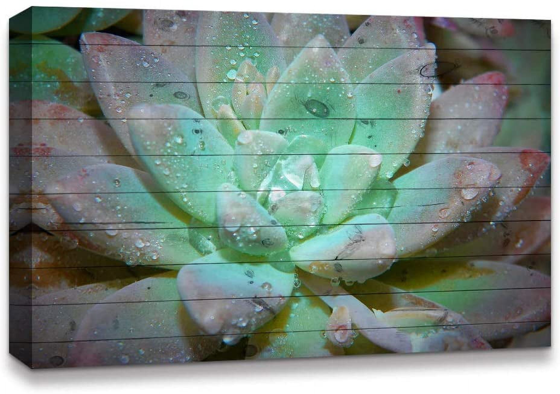 IDEA4WALL Botanical Canvas Wall Art Closeup of Green Succulent with ...