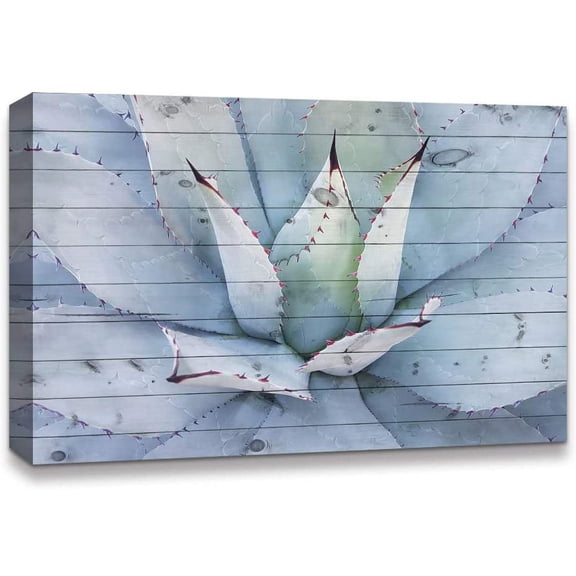 IDEA4WALL Botanical Canvas Wall Art Photograph of Lovely Green Succulent Canvas Prints Modern Home Wall Decor - 32x48 inches