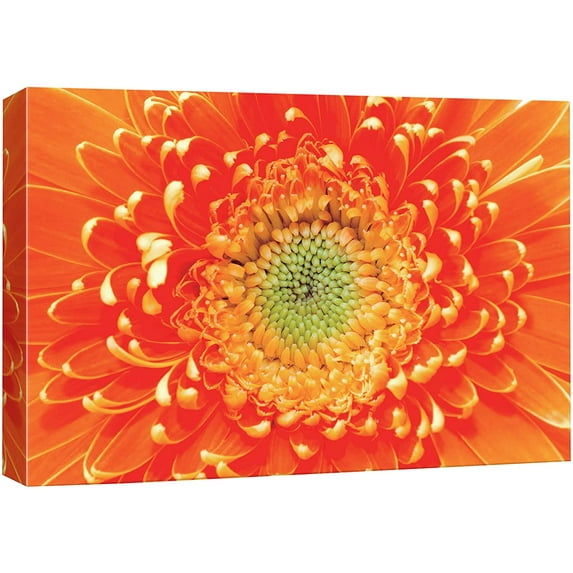 IDEA4WALL Canvas Wall Art Blooming Orange and Yellow Gerbera Daisy Floral Flower Photography Realism Modern Closeup Colorful for Living Room, Bedroom, Office - 24"x36"