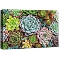 thumbnail image 1 of IDEA4WALL Canvas Wall Art Bouquet of Red, Blue, Pink, Green and Yellow Small Echeveria Cactus Botanical Succulent Digital Art Realism Farmhouse/Country for Living Room, Bedroom, Office - 32"x48", 1 of 5
