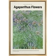 thumbnail image 1 of IDEA4WALL Framed Canvas Art Wall Decor Agapanthus Flowers Master Aritst Claude Monet Oil Painting Impressionism Contemporary for Dorm Home Office - 24"x36", 1 of 4