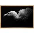 thumbnail image 1 of IDEA4WALL Framed Canvas Art Wall Decor Bald Headed Eagle Animals Wildlife Photography Realism Modern Closeup Dramatic Black and White for Dorm Home Office - 24"x36", 1 of 4