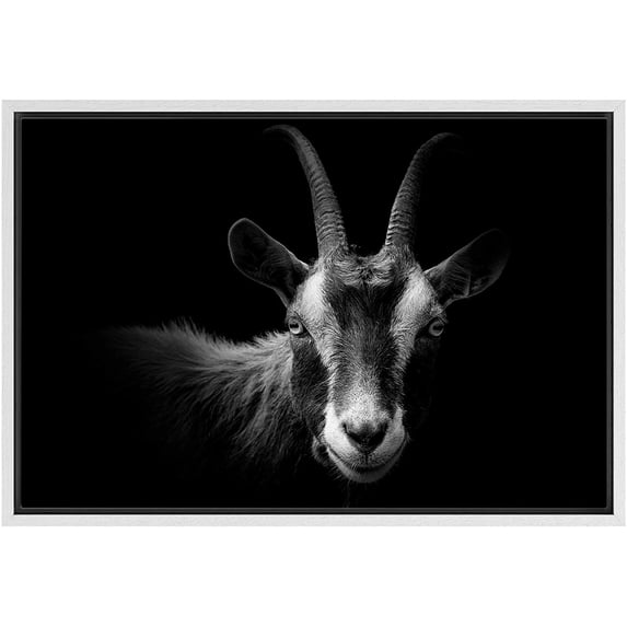 IDEA4WALL Framed Canvas Art Wall Decor Blackbuck Goat Animals Wildlife Photography Realism Modern Closeup Dramatic Black and White for Dorm Home Office - 16"x24"