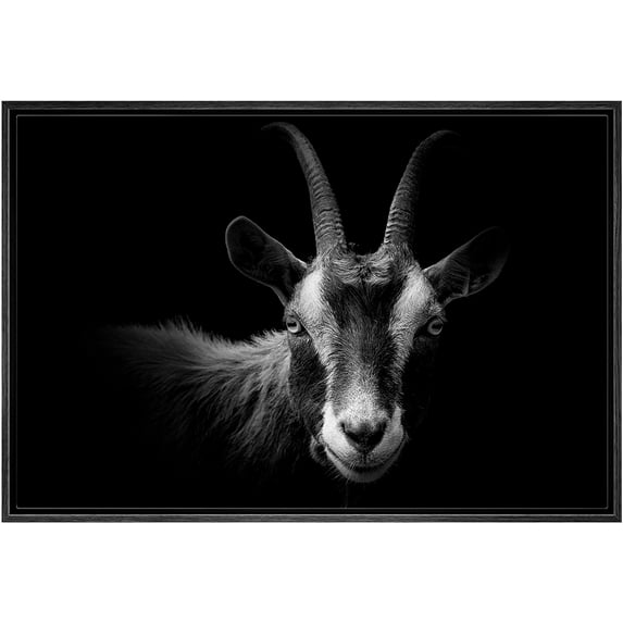 IDEA4WALL Framed Canvas Art Wall Decor Blackbuck Goat Animals Wildlife Photography Realism Modern Closeup Dramatic Black and White for Dorm Home Office - 16"x24"
