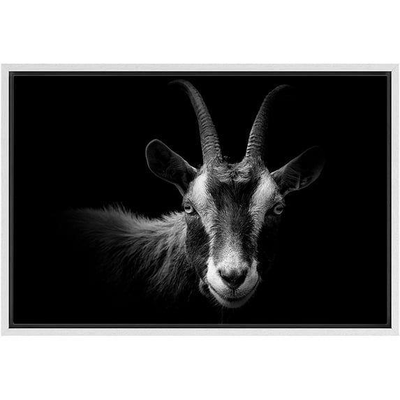 IDEA4WALL Framed Canvas Art Wall Decor Blackbuck Goat Animals Wildlife Photography Realism Modern Closeup Dramatic Black and White for Dorm Home Office - 24"x36"