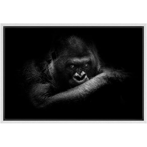 IDEA4WALL Framed Canvas Art Wall Decor Silverback Gorilla Animals Wildlife Photography Realism Modern Closeup Dramatic Black and White for Dorm Home Office - 16"x24"