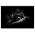 thumbnail image 1 of IDEA4WALL Framed Canvas Art Wall Decor Silverback Gorilla Animals Wildlife Photography Realism Modern Closeup Dramatic Black and White for Dorm Home Office - 24"x36", 1 of 4