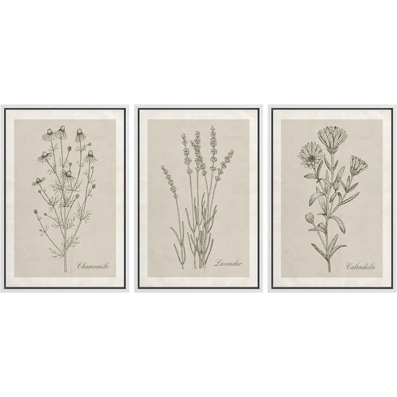 IDEA4WALL Framed Canvas Print Wall Art Set of 3 Black & Brown Wildflowers Bouquet Illustrations Nature Wilderness Vintage Art Boho Retro Wall Decorative Artwork for Rooms - White 24"x36"x3