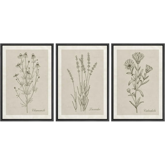 IDEA4WALL Framed Canvas Print Wall Art Set of 3 Black & Brown Wildflowers Bouquet Illustrations Nature Wilderness Vintage Art Boho Retro Wall Decorative Artwork for Rooms - Black 24"x36"x3