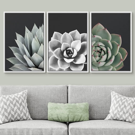 IDEA4WALL Framed Canvas Print Wall Art Set of 3 Desert Rose Echeveria Succulent Set Nature Plants Photography Modern Art Closeup Relax/Calm for Entryway, Bedroom, Office - 24"x36"x3 White