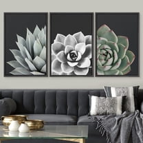 IDEA4WALL Framed Canvas Print Wall Art Set of 3 Desert Rose Echeveria Succulent Set Nature Plants Photography Modern Art Closeup Relax/Calm for Entryway, Bedroom, Office - 16"x24"x3 Black