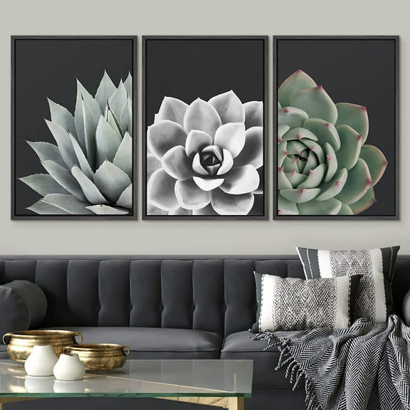 IDEA4WALL Framed Canvas Print Wall Art Set of 3 Desert Rose Echeveria Succulent Set Nature Plants Photography Modern Art Closeup Relax/Calm for Entryway, Bedroom, Office - 16"x24"x3 Black