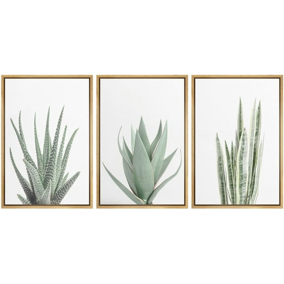 IDEA4WALL Framed Canvas Print Wall Art Set of 3 Green Succulent Plant Prints, Floral Botanical Art Paintings, Minimalist Modern Wall Art Decor Clam/Relax for Home Decor - Natural 24"x36"x3