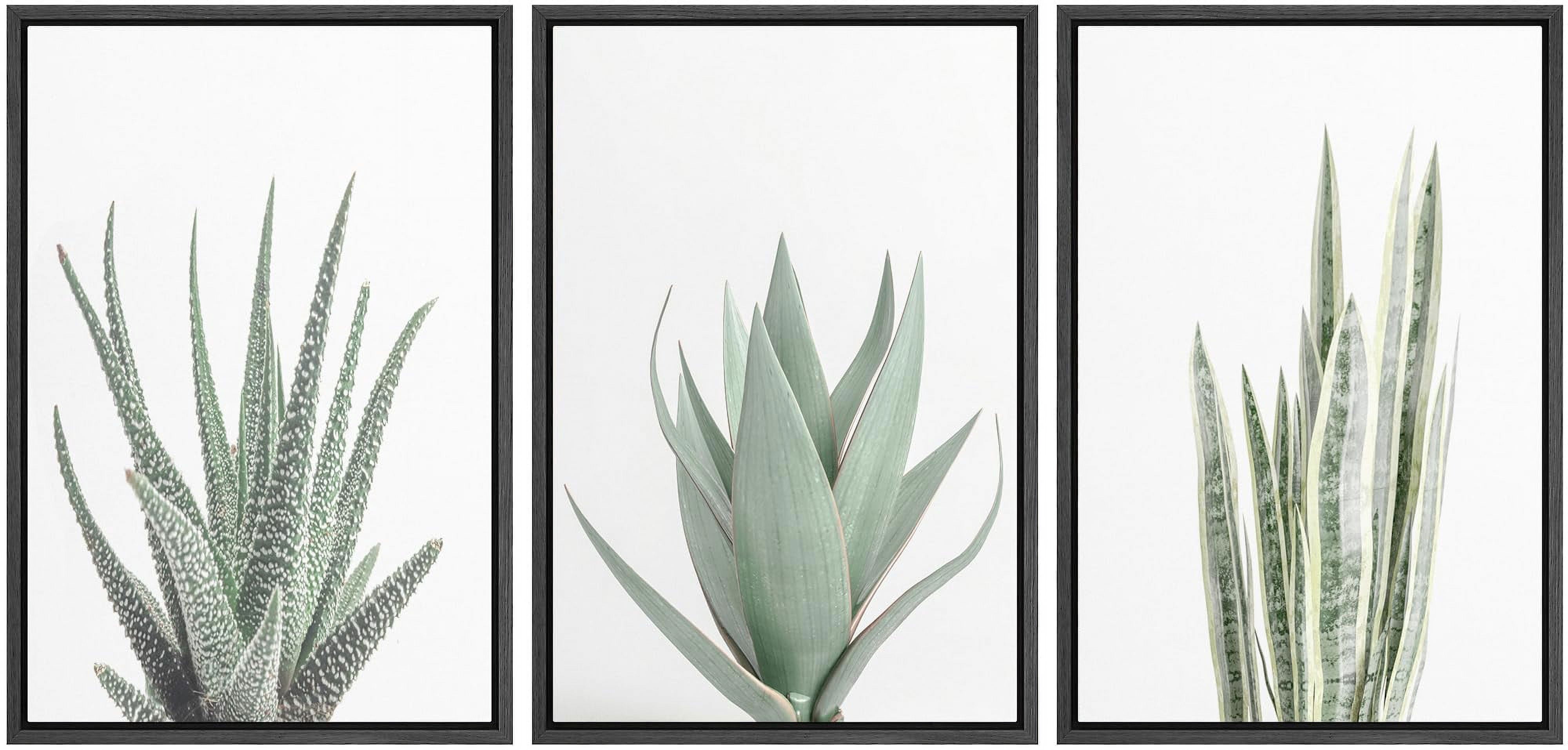 IDEA4WALL Framed Canvas Print Wall Art Set of 3 Green Succulent Plant ...