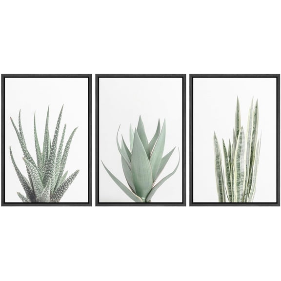 IDEA4WALL Framed Canvas Print Wall Art Set of 3 Green Succulent Plant Prints, Floral Botanical Art Paintings, Minimalist Modern Wall Art Decor Clam/Relax for Home Decor - Black 24"x36"x3