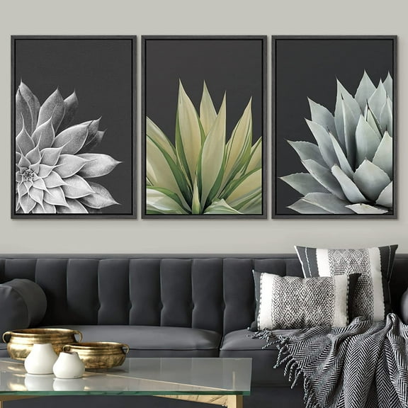 IDEA4WALL Framed Canvas Print Wall Art Set of 3 Trio of Echevaria Succulents Floral Plants Set Nature Plants Photography Modern Art Closeup for Entryway, Bedroom, Office - 16"x24"x3 Black