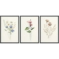 thumbnail image 1 of IDEA4WALL Framed Canvas Print Wall Art Set of 3 Wildflowers Botanical Prints Retro Elegant Flowers Floral Illustration Art Vintage Nature Wilderness Artwork for Room Decor - Black 16"x24"x3, 1 of 5