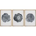 thumbnail image 1 of IDEA4WALL Framed Canvas Print Wall Art Set of 3 Wood Tree Rings Prints, Vintage Farmhouse Wall Decor, Large Wall Art, Minimalist Countryside Artwork for Home Decor - Natural 24"x36"x3, 1 of 5