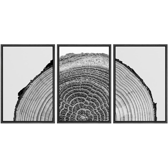 IDEA4WALL Framed Canvas Print Wall Art Set Black White High Contrast Wood Tree Rings Nature Photography Modern Art Rustic Scenic Relax/Calm for Living Room, Bedroom, Office - 24"x36"x3 Black