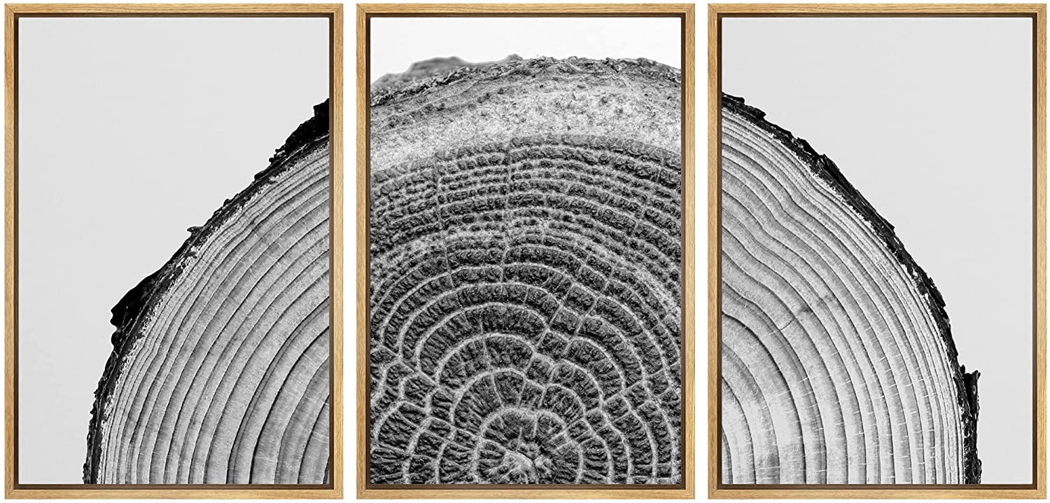 Natural Framed Black and White Tree Rings Canvas Art Set