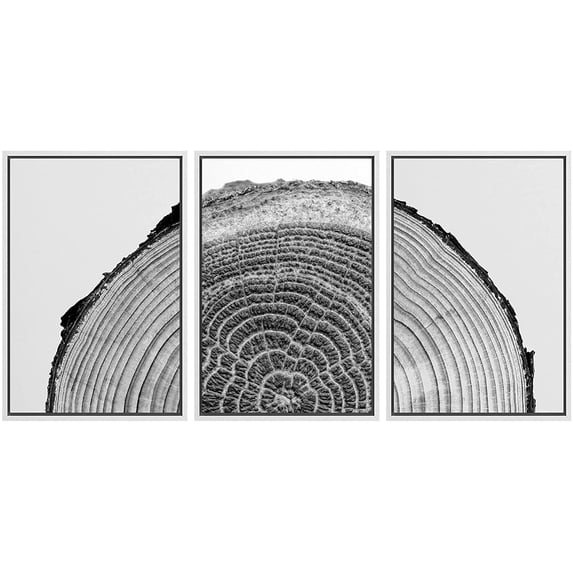 IDEA4WALL Framed Canvas Print Wall Art Set Black White High Contrast Wood Tree Rings Nature Photography Modern Art Rustic Scenic Relax/Calm for Living Room, Bedroom, Office - 16"x24"x3 White