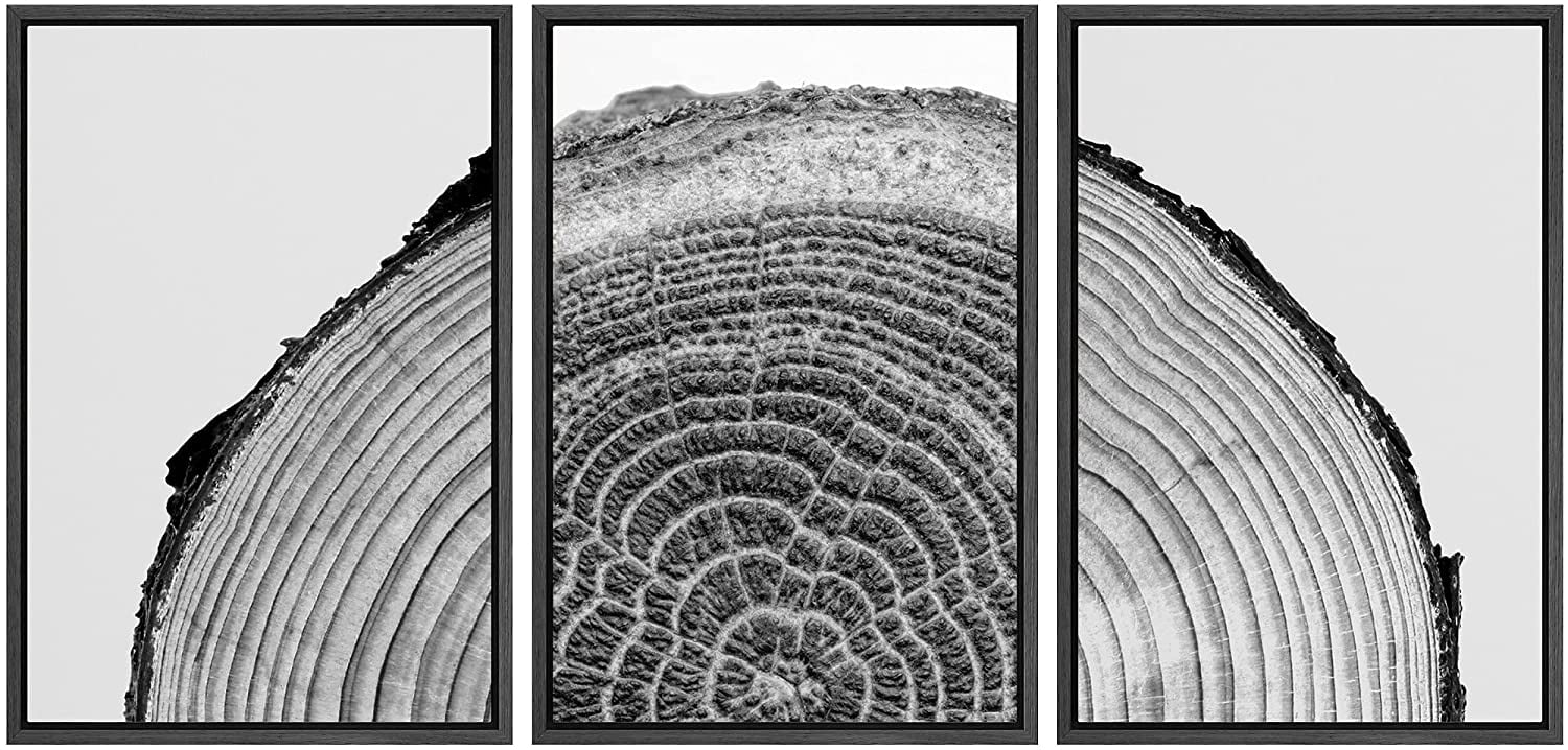 Black Framed Nature Tree Rings Canvas Print Set