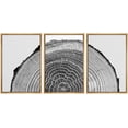thumbnail image 1 of IDEA4WALL Framed Canvas Print Wall Art Set Black White High Contrast Wood Tree Rings Nature Photography Modern Art Rustic Scenic Relax/Calm for Living Room, Bedroom, Office - 24"x36"x3 Natural, 1 of 5