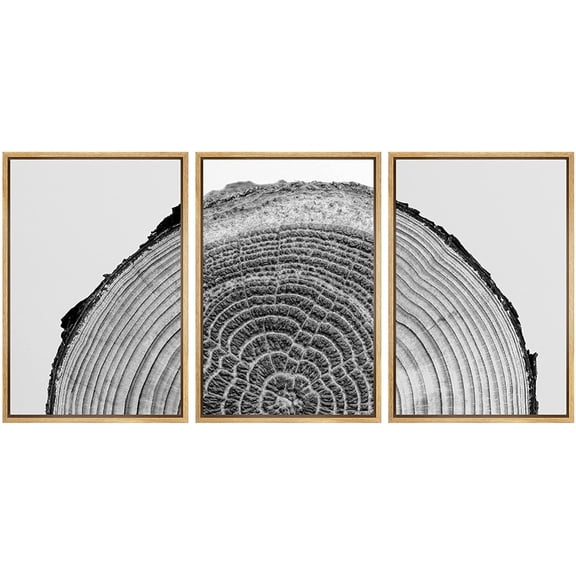 IDEA4WALL Framed Canvas Print Wall Art Set Black White High Contrast Wood Tree Rings Nature Photography Modern Art Rustic Scenic Relax/Calm for Living Room, Bedroom, Office - 24"x36"x3 Natural