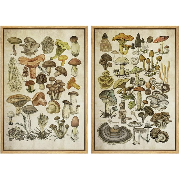IDEA4WALL Framed Canvas Print Wall Art Set Mushroom Botanical Fine Art Fungus Molds Yeast Toadstools Pattern Art Farmhouse/Country Wall Decor for Living Room, Bedroom, Office - 24"x36"x2 Natural