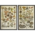 thumbnail image 1 of IDEA4WALL Framed Canvas Print Wall Art Set Mushroom Botanical Fine Art Fungus Molds Yeast Toadstools Pattern Art Farmhouse/Country Wall Decor for Living Room, Bedroom, Office - 16"x24"x2 Black, 1 of 5