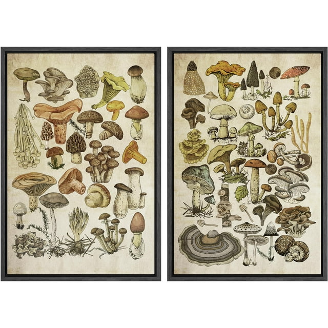 IDEA4WALL Framed Canvas Print Wall Art Set Mushroom Botanical Fine Art Fungus Molds Yeast Toadstools Pattern Art Farmhouse/Country Wall Decor for Living Room, Bedroom, Office - 16"x24"x2 Black