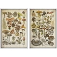 thumbnail image 1 of IDEA4WALL Framed Canvas Print Wall Art Set Mushroom Botanical Fine Art Fungus Molds Yeast Toadstools Pattern Art Farmhouse/Country Wall Decor for Living Room, Bedroom, Office - 24"x36"x2 White, 1 of 5