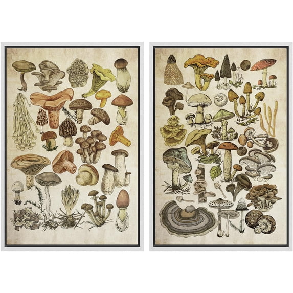IDEA4WALL Framed Canvas Print Wall Art Set Mushroom Botanical Fine Art Fungus Molds Yeast Toadstools Pattern Art Farmhouse/Country Wall Decor for Living Room, Bedroom, Office - 24"x36"x2 White
